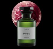 Rose Absolue Turquie