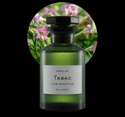 Tabac Absolue low nico