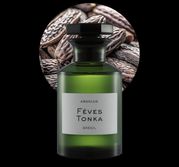 Tonka fève Absolue